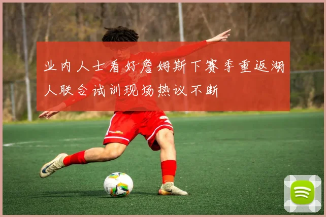 业内人士看好詹姆斯下赛季重返湖人联合试训现场热议不断
